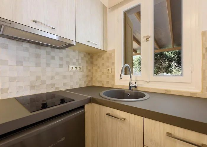 Sea Breeze Paros Ii דירה Alikí